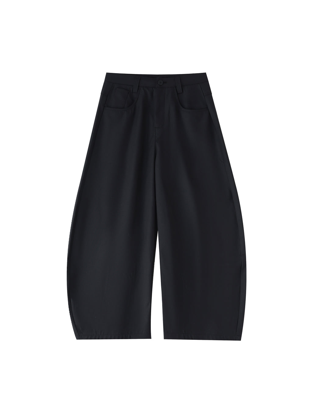 Cruz Baggy Dress Pants