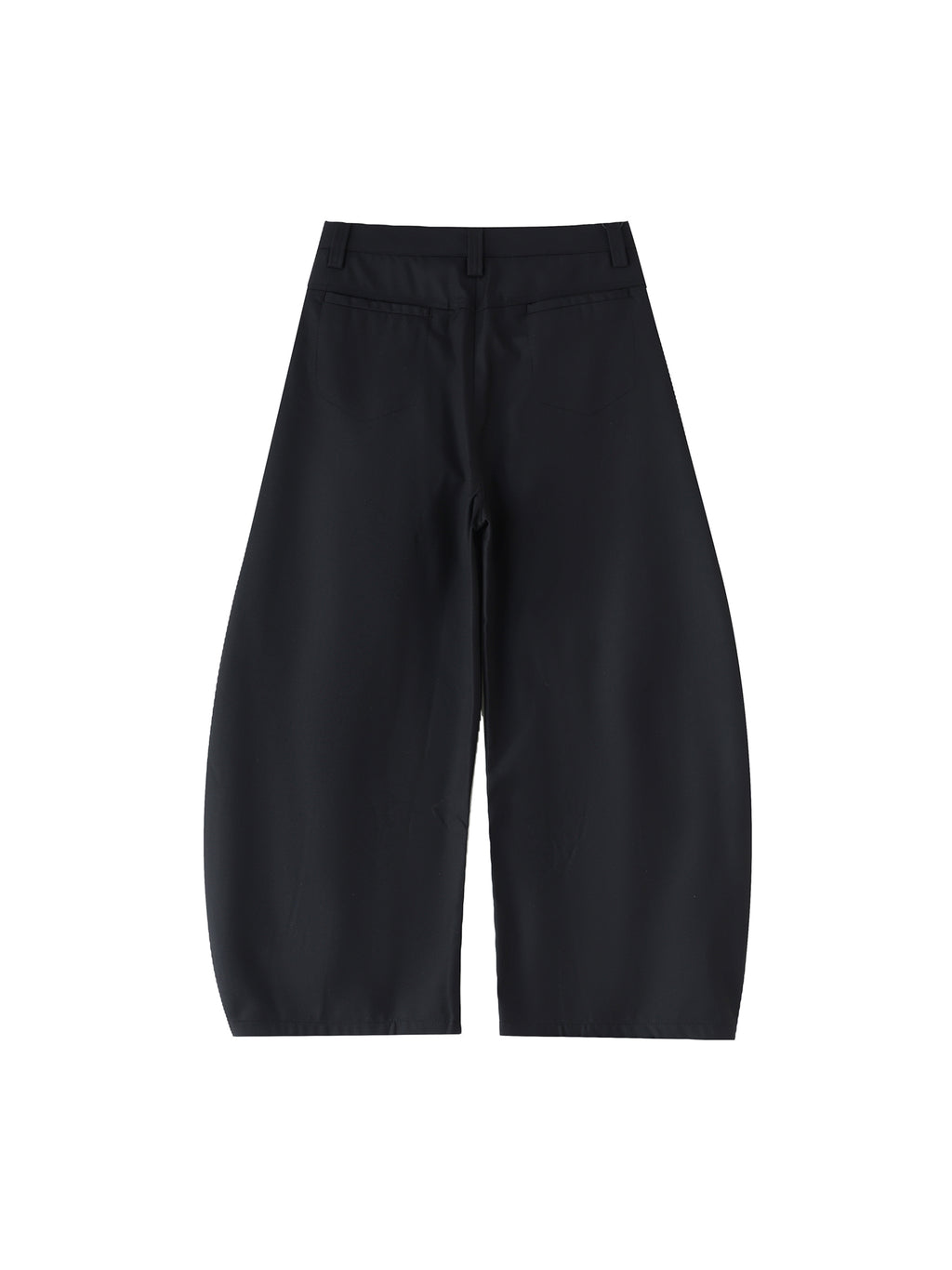 Cruz Baggy Dress Pants